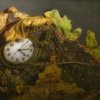 Прошедшее время. :: Владимир Владимир