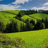 Magic Azores 77 :: Arturs Ancans