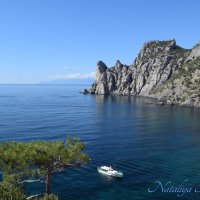 Природа Крыма :: Amazing Cosmea