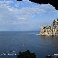 Природа Крыма :: Amazing Cosmea