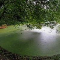 ***** :: юрий поляков