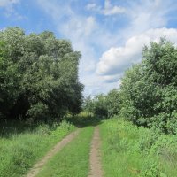 за городом :: Елена Шаламова