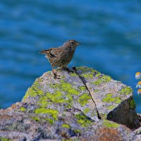 В горах К.-Ч.  Р.  - 16 :: Анатолий Стрельченко