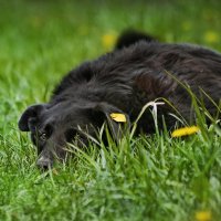 Уйди, старушка, я в печали. :: Татьяна Бравая