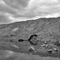 "несси") :: Aндрей Антонов