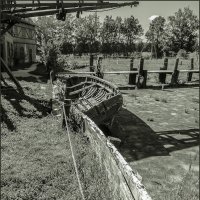 Засуха... :: Наталья Rosenwasser