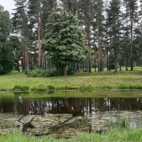 Царское Село. Баболовский парк :: Наталья Герасимова