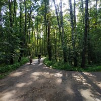 * * * :: Андрей Лукьянов * * * :: Андрей Лукьянов