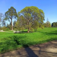 Скальный парк Монрепо в Выборге. :: Ольга Довженко Скальный парк Монрепо в Выборге. :: Ольга Довженко