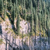 Горное озеро :: Георгиевич 