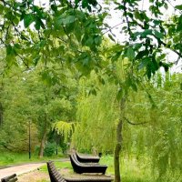 В парке :: Любимова Ольга 