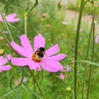 ,,, :: Сергей Тимоновский