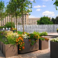 МОСКОВСКАЯ ПЛОЩАДЬ :: Виктор Никитенко