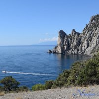 Природа Крыма :: Amazing Cosmea