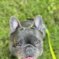 Летний ) :: Анна Камс