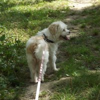 Жарко... :: Freddy 97