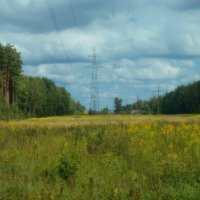 ЛЭП :: Леонид leo