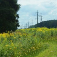 Лосиный остров :: Леонид leo Лосиный остров :: Леонид leo