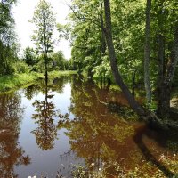 ***** :: ИННА ПОРОХОВА