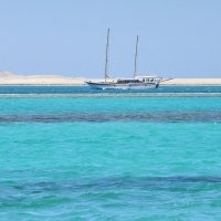 Бирюза :: Марина Виноградова