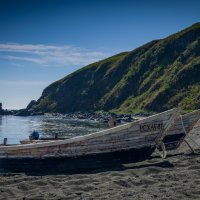 Окрестности мыса Острый.о.Сахалин. :: Alexander Fedotov