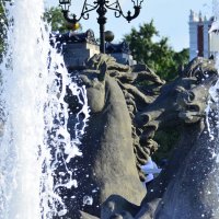 Купание коней. :: Наталья Вязигина