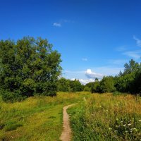 Вот, моя деревня :: Андрей Лукьянов