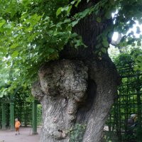 великан и малыш :: zavitok * великан и малыш :: zavitok *