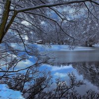 ---------------- :: igor G.