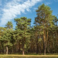 3897 :: Alex . 3897 :: Alex .