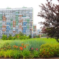 А у нас во дворе :: Василий 