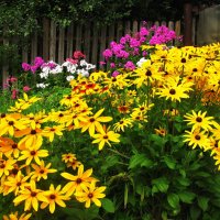 Красота в саду :: Людмила Смородинская Красота в саду :: Людмила Смородинская