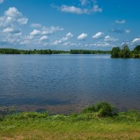 Природа у воды :: Александр Синдерёв