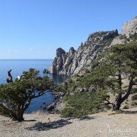 Природа Крыма :: Amazing Cosmea