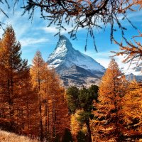 autumn :: Elena Wymann