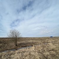 ___ :: Наталья Запольских