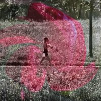 A little dog :: AL Reborn 