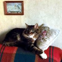 Из жизни отдыхающих... :: Елена 