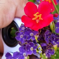 112 (145) :: СТРЕН 