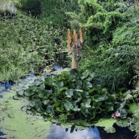 Дракон :: Мария Гуськова