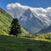 Кавказ :: Владимир Колесников