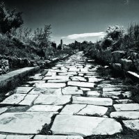 Дорога к "вечному городу" :: Владимир Шишкин