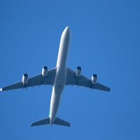 над головой... :: Andrey Bragin над головой... :: Andrey Bragin