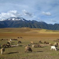 Где-то в Андах, Перу. :: unix (Илья Утропов)