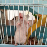 Выпустите меня! :: Надежда 