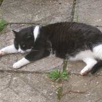 Так жарко :: Людмила Смородинская