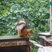 ___ :: Yuriy V ___ :: Yuriy V