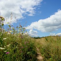 тропинки небесные и земные... :: Галина Флора тропинки небесные и земные... :: Галина Флора