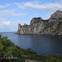 Природа Крыма :: Amazing Cosmea