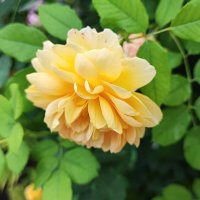 ,,, :: Сергей Тимоновский